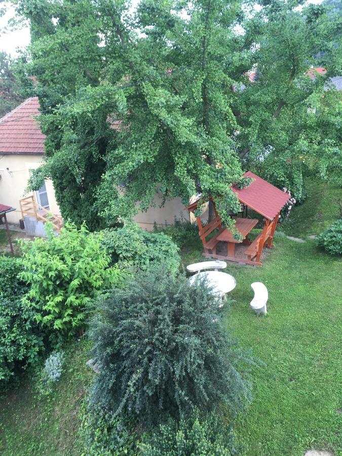 Bogoly Apartman Токай Екстер'єр фото