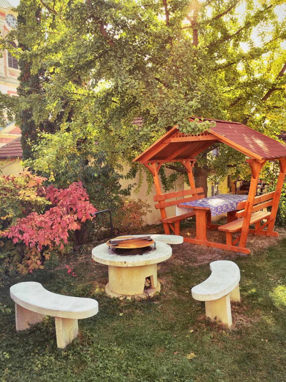 Bogoly Apartman Токай Екстер'єр фото