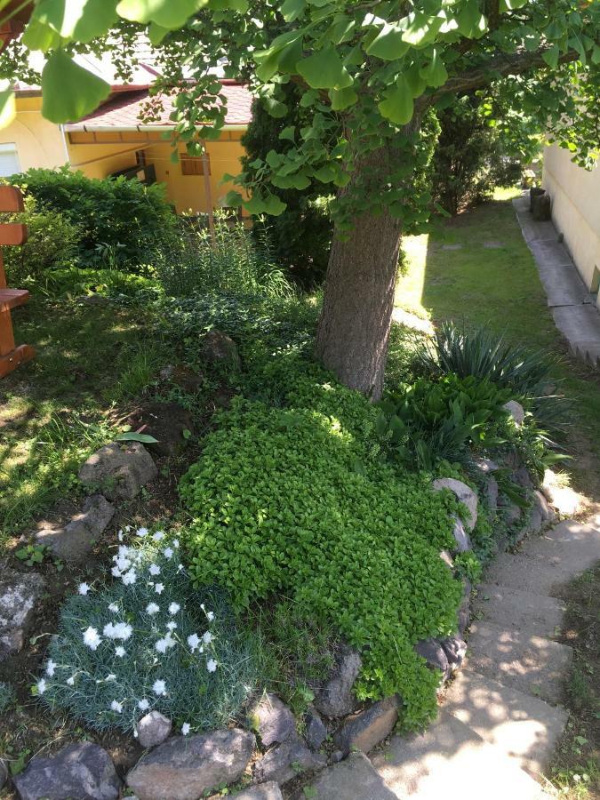 Bogoly Apartman Токай Екстер'єр фото